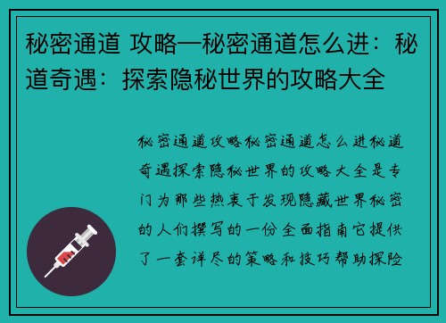秘密通道 攻略—秘密通道怎么进：秘道奇遇：探索隐秘世界的攻略大全